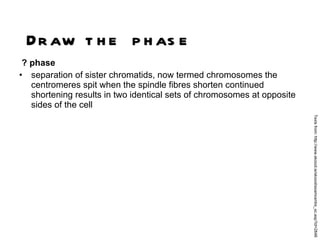 ? phase separation of sister chromatids, now termed chromosomes the centromeres spit when the spindle fibres shorten continued shortening results in two identical sets of chromosomes at opposite sides of the cell  Draw the phase Texts from: http://www.skoool.ie/skoool/examcentre_sc.asp?id=2848 