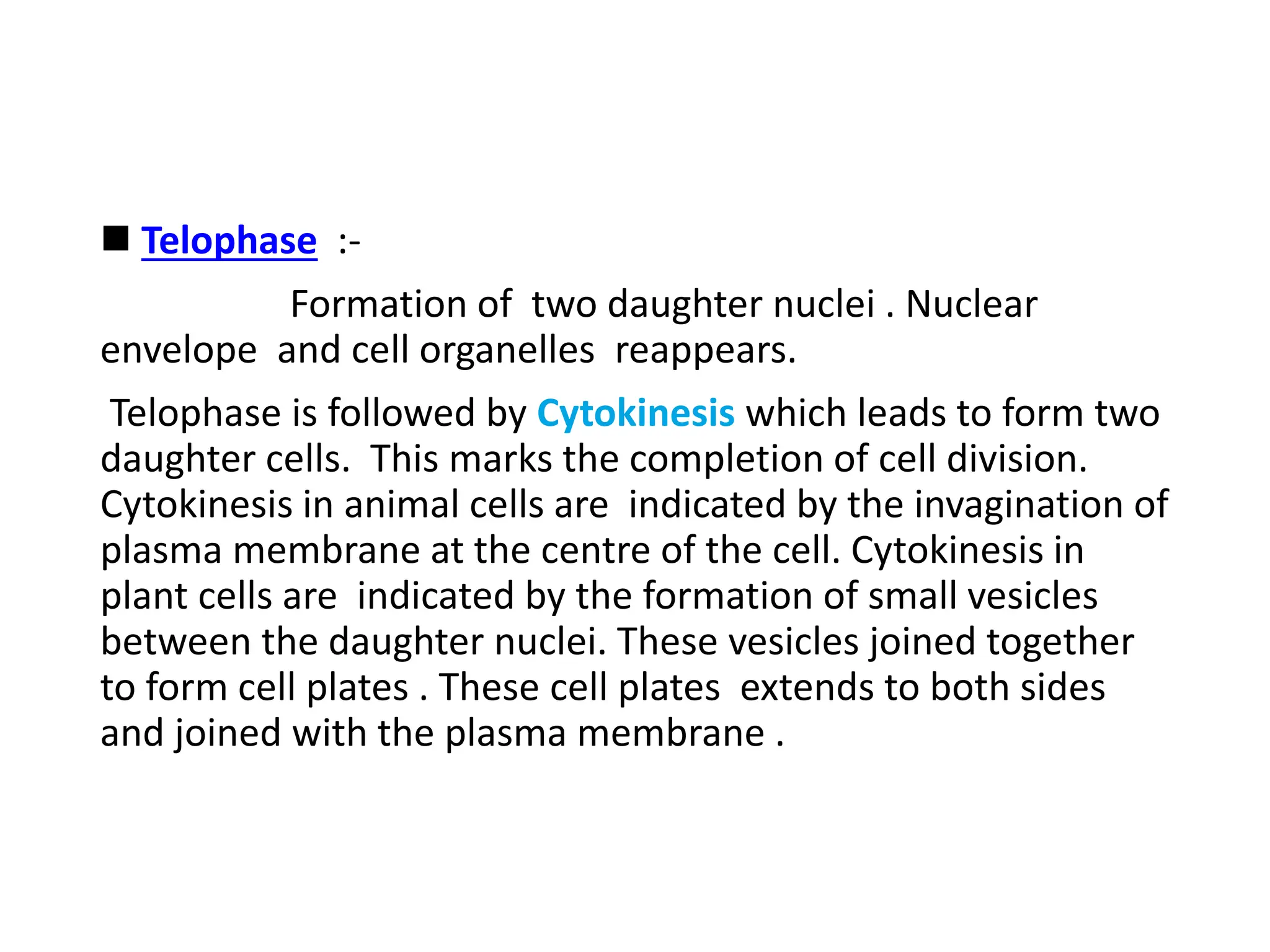 MITOSIS B Ed Seminar Presentation .pptx