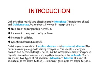 MITOSIS-WPS Office First Semester BEd Program | PPTX | Biological ...
