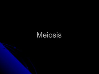 Meiosis 