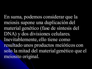 En suma, podemos considerar que la meiosis supone una duplicación del material genético (fase de síntesis del DNA) y dos divisiones celulares. Inevitablemente, ello tiene como resultado unos productos meióticos con solo la mitad del material genético que el meiosito original.  