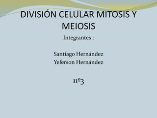 DIVISIÓN CELULAR MITOSIS Y
MEIOSIS
Integrantes :
Santiago Hernández
Yeferson Hernández
11º3
 