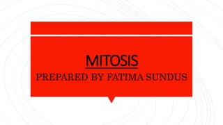 MITOSIS
PREPARED BY FATIMA SUNDUS
 