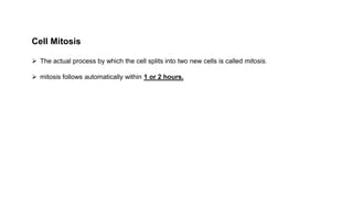 Cell Mitosis
 The actual process by which the cell splits into two new cells is called mitosis.
 mitosis follows automatically within 1 or 2 hours.
 