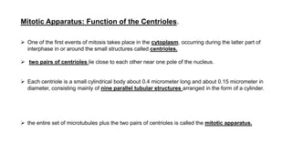 Mitotic Apparatus: Function of the Centrioles.
 One of the first events of mitosis takes place in the cytoplasm, occurring during the latter part of
interphase in or around the small structures called centrioles.
 two pairs of centrioles lie close to each other near one pole of the nucleus.
 Each centriole is a small cylindrical body about 0.4 micrometer long and about 0.15 micrometer in
diameter, consisting mainly of nine parallel tubular structures arranged in the form of a cylinder.
 the entire set of microtubules plus the two pairs of centrioles is called the mitotic apparatus.
 