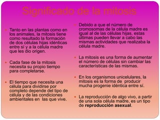 Significado de la mitosis
 Tanto en las plantas como en
los animales, la mitosis tiene
como resultado la formación
de dos células hijas idénticas
entre sí y a la célula madre
que les dio origen.
 Cada fase de la mitosis
necesita su propio tiempo
para completarse.
 El tiempo que necesita una
célula para dividirse por
completo depende del tipo de
célula y de las condiciones
ambientales en las que vive.
 Debido a que el número de
cromosomas de la célula madre es
igual al de las células hijas, estas
últimas pueden llevar a cabo las
mismas actividades que realizaba la
célula madre.
 La mitosis es una forma de aumentar
el número de células sin cambiar las
características de las mismas.
 En los organismos unicelulares, la
mitosis es la forma de producir
mucha progenie idéntica entre sí.
 La reproducción de algo vivo, a partir
de una sola célula madre, es un tipo
de reproducción asexual.
 