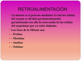 RETROALIMENTACIÓN
 La mitosis es el proceso mediante el cual las células
del cuerpo se dividen permanentemente
garantizando con ello la renovación de las células
del organismo que ya están dañadas.
 Las fases de la Mitosis son:
 - Profase
 - Metafase
 - Anafase
 - Telofase
 