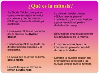 ¿Qué es la mitosis?
 La Teoría Celular dice que los
seres vivientes están formados
por células y que las nuevas
células provienen de células ya
existentes.
 Las nuevas células se producen
por el proceso de división
celular.
 Cuando una célula se divide, se
dividen también el núcleo y el
citoplasma.
 La célula que se divide se llama
célula madre.
 Las células que se forman se
llaman células hijas.
 La división celular provee
células nuevas para el
crecimiento, para curar heridas
y para reemplazar partes
dañadas del cuerpo.
 El núcleo de una célula controla
las actividades de la misma.
 Los cromosomas llevan la
información para el control de
dichas actividades.
 Durante la división celular, los
cromosomas se pasan a las
nuevas células que se forman.
 