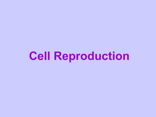 Cell Reproduction
 