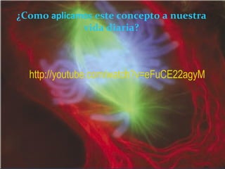 ¿Como  aplicamos  este concepto a nuestra vida diaria? http://youtube.com/watch?v=eFuCE22agyM   