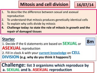 Starter
1. Decide if the 6 statements are based on SEXUAL or
ASEXUAL reproduction
2. Fill in clock A with your current knowledge on CELL
DIVISION (e.g. why do you think it happens?)
Challenge: list 3 organisms which reproduce by
a. SEXUAL and b. ASEXUAL reproduction
16/07/14
Mitosis and cell division
8m
1. To describe the difference between sexual and asexual
reproduction
2. To understand that mitosis produces genetically identical cells
3. To explain why cells divide by mitosis
4. Challenge today: to state the role of mitosis in growth and the
repair of damaged tissues
 