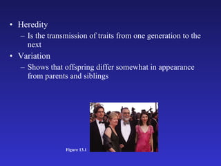 Heredity Is the transmission of traits from one generation to the next Variation Shows that offspring differ somewhat in appearance from parents and siblings Figure 13.1 