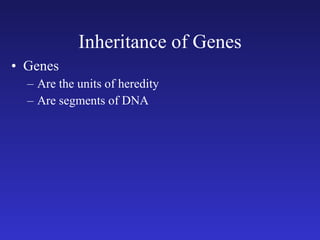 Inheritance of Genes Genes Are the units of heredity Are segments of DNA 