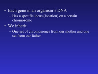 Each gene in an organism’s DNA Has a specific locus (location) on a certain chromosome We inherit One set of chromosomes from our mother and one set from our father 