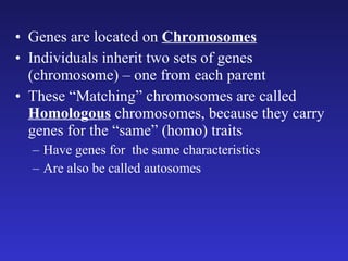 Genes are located on  Chromosomes Individuals inherit two sets of genes (chromosome) – one from each parent These “Matching” chromosomes are called  Homologous  chromosomes, because they carry genes for the “same” (homo) traits Have genes for  the same characteristics Are also be called autosomes 