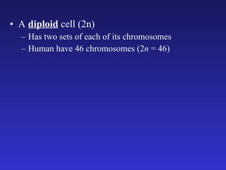 A  diploid  cell (2n) Has two sets of each of its chromosomes Human have 46 chromosomes (2 n  = 46) 