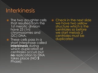 Mitosis and meiosis | PPTX