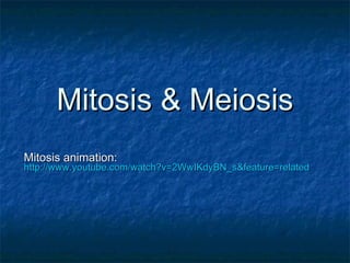 Mitosis & Meiosis Mitosis animation:   http://www.youtube.com/watch?v=2WwIKdyBN_s&feature=related 