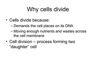 Why cells divide
• Cells divide because:
– Demands the cell places on its DNA
– Moving enough nutrients and wastes across
the cell membrane
• Cell division – process forming two
“daughter” cell
 