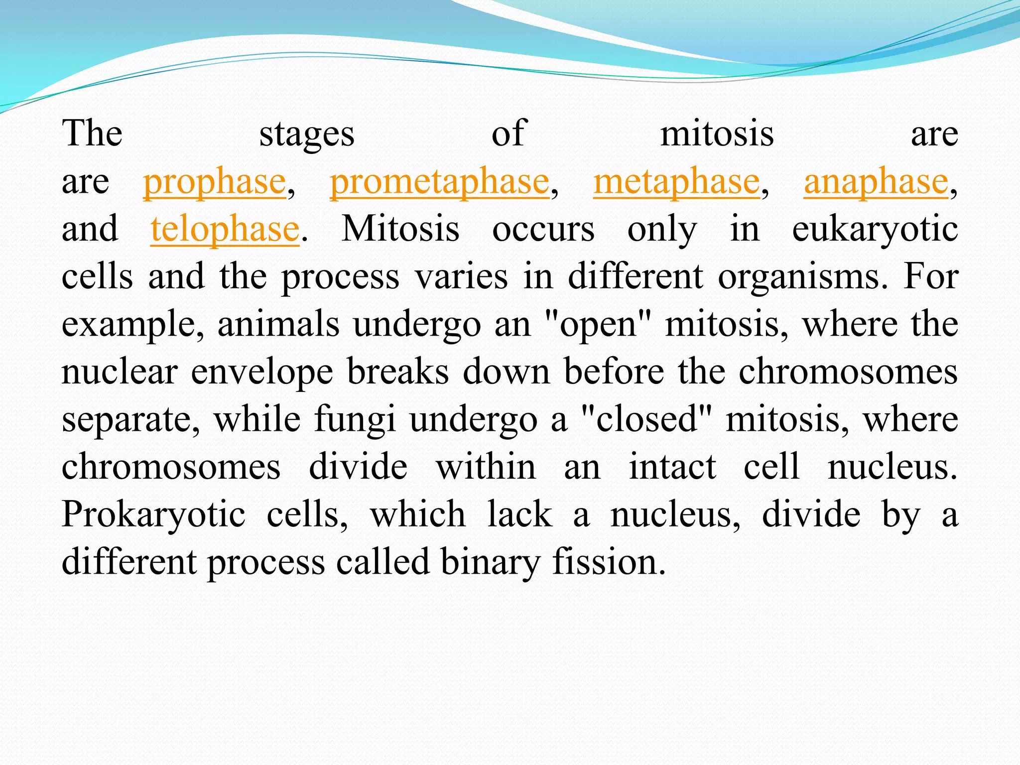 Mitosis and meiosis | PDF