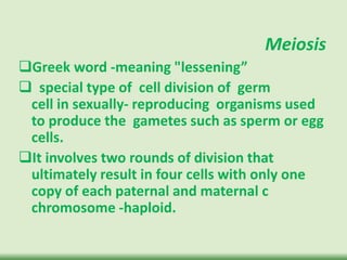 Mitosis and meiosis | PPTX