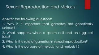 Quarter two week three Mitosis and Meiosis.pptx