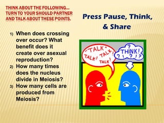 Mitosis and Meiosis | PPT