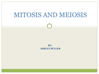 MITOSIS AND MEIOSIS



           BY:
      ASHLEY BULLER
 