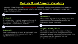 Cell cycle ( mitosis and meiosis)Msc.pptx