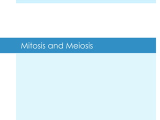 Mitosis and Meiosis
 