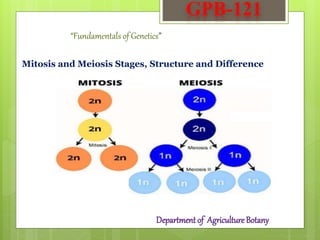 GPB-121
Department of Agriculture Botany
“Fundamentals of Genetics”
Mitosis and Meiosis Stages, Structure and Difference
 