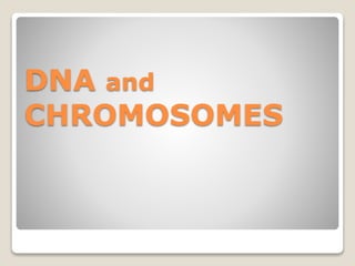 DNA and
CHROMOSOMES
 