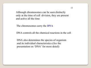Mitosis and meiosis summ