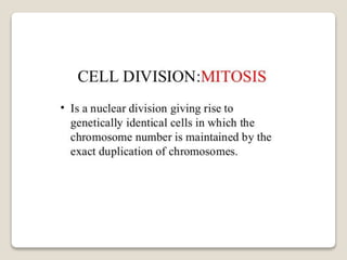 Mitosis and meiosis summ