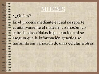 MITOSIS
• ¿Qué es?
Es el proceso mediante el cual se reparte
equitativamente el material cromosómico
entre las dos células hijas, con lo cual se
asegura que la información genética se
transmita sin variación de unas células a otras.
 