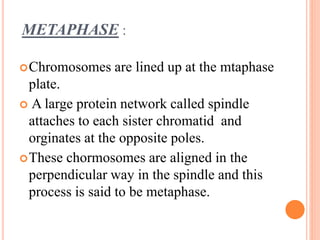 Mitosis (biology) | PPTX