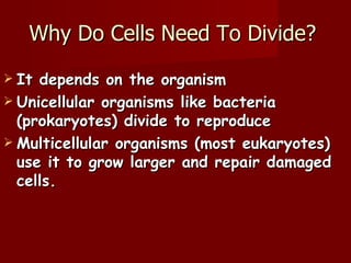 Why Do Cells Need To Divide?
 It depends on the organism
 Unicellular organisms like bacteria
  (prokaryotes) divide to reproduce
 Multicellular organisms (most eukaryotes)
  use it to grow larger and repair damaged
  cells.
 