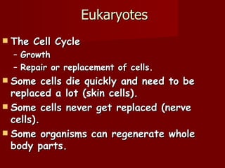 Eukaryotes
   The Cell Cycle
    – Growth
    – Repair or replacement of cells.
 Some cells die quickly and need to be
  replaced a lot (skin cells).
 Some cells never get replaced (nerve
  cells).
 Some organisms can regenerate whole
  body parts.
 