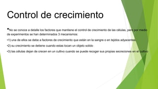 Control de crecimiento
•No se conoce a detalle los factores que mantiene el control de crecimiento de las células, pero por medio
de experimentos se han determinados 3 mecanismos:
•1) una de ellos se debe a factores de crecimiento que están en la sangre o en tejidos adyacentes.
•2) su crecimiento se detiene cuando estas tocan un objeto solido
•3) las células dejan de crecen en un cultivo cuando se puede recoger sus propias secreciones en el cultivo
 