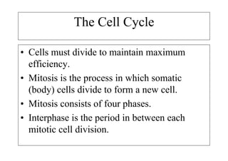 The Cell Cycle

• Cells must divide to maintain maximum
  efficiency.
• Mitosis is the process in which somatic
  (body) cells divide to form a new cell.
• Mitosis consists of four phases.
• Interphase is the period in between each
  mitotic cell division.
 