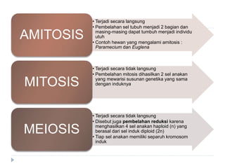 Gambar Pembelahan Sel Secara Mitosis