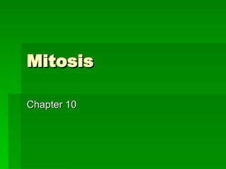 Mitosis Chapter 10 