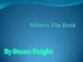 Mitosis Flip Book By Stuart Knight 