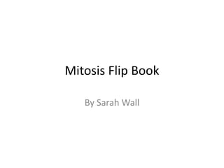 Mitosis Flip Book By Sarah Wall 