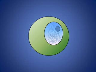 Cell Cycle Flipbook | PPTX