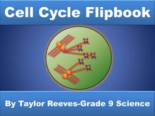 Cell Cycle Flipbook By Taylor Reeves-Grade 9 Science 
