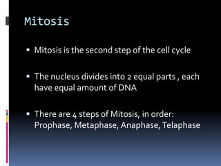 MitosisMitosis is the second step of the cell cycleThe nucleus divides into 2 equal parts , each have equal amount of DNAThere are 4 steps of Mitosis, in order: Prophase, Metaphase, Anaphase, Telaphase