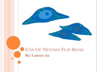 End Of Mitosis Flip BookBy: Lauren Au