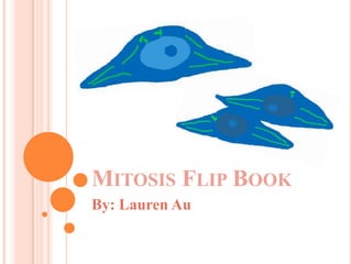 Mitosis Flip Book By: Lauren Au 