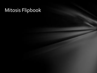 Mitosis Flipbook
 